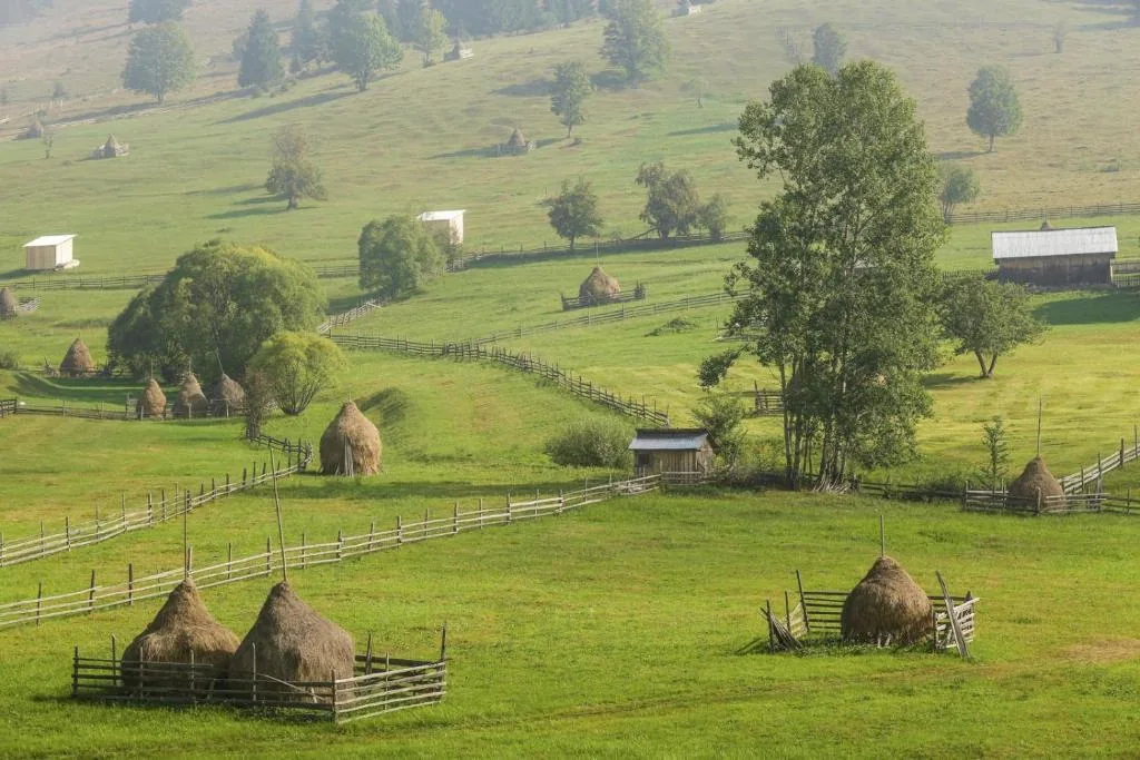 Peisaj rural din galeria gazdei