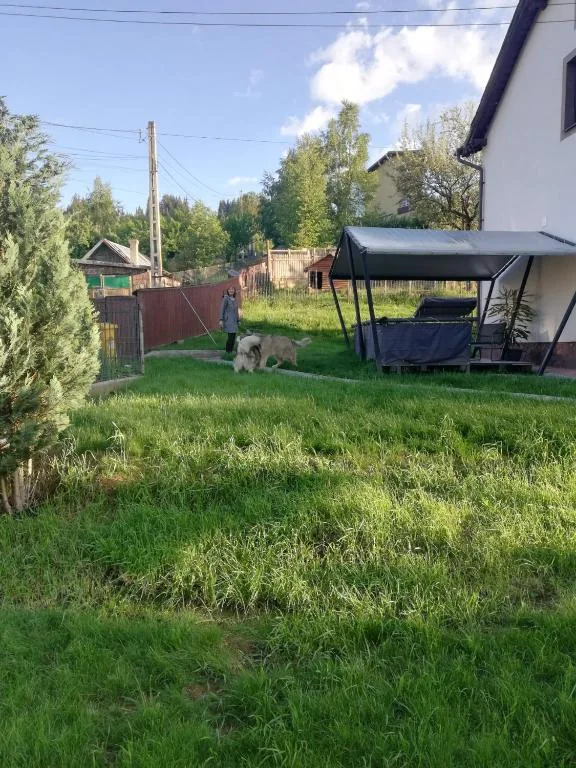 Grădina Casei Ghioceilor, vara