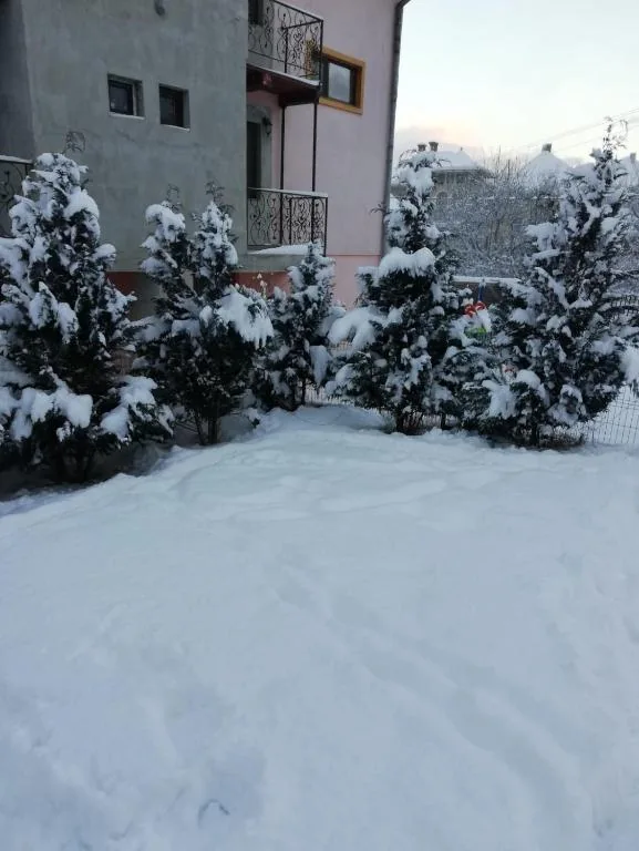 Curtea în anotimpul rece